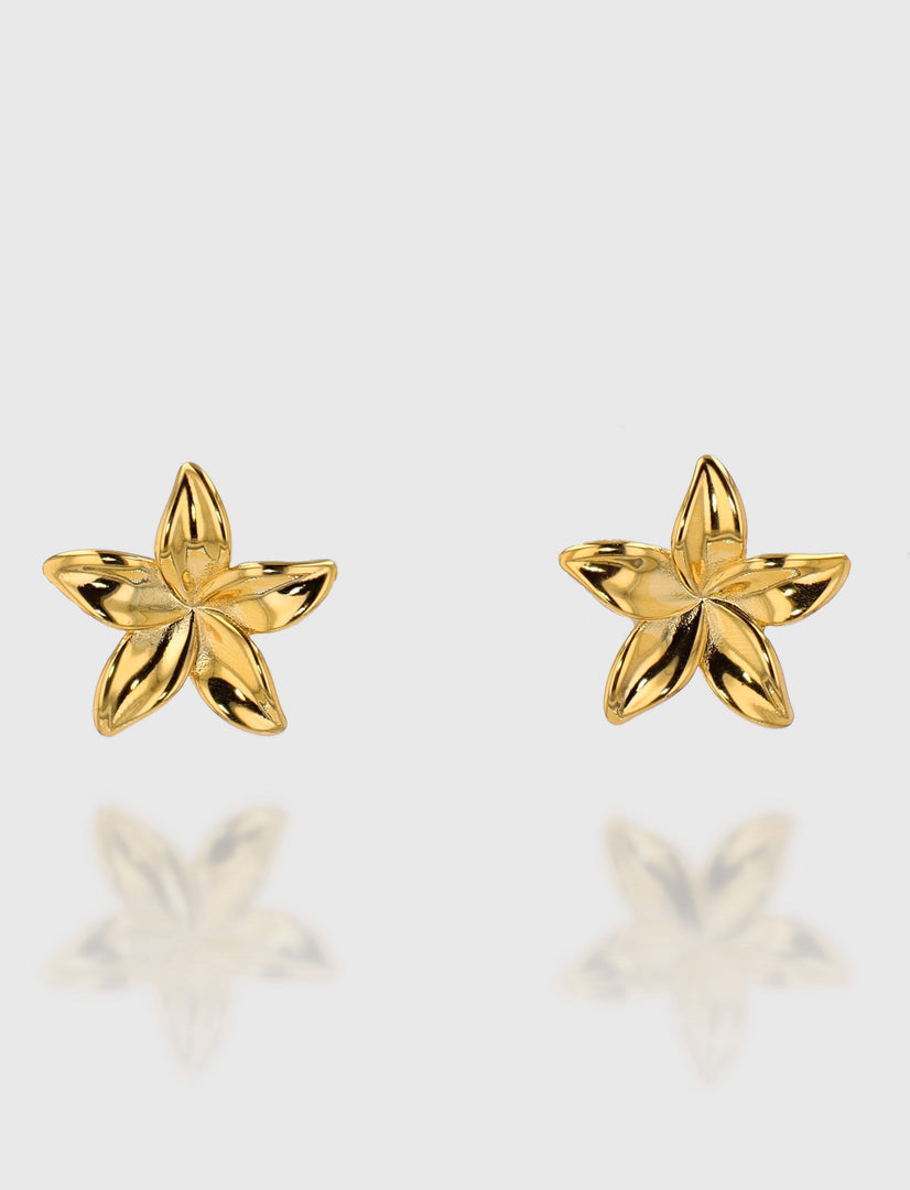 Boucles "Florine"