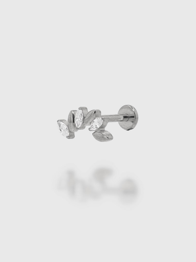 Piercing "Clarence"
